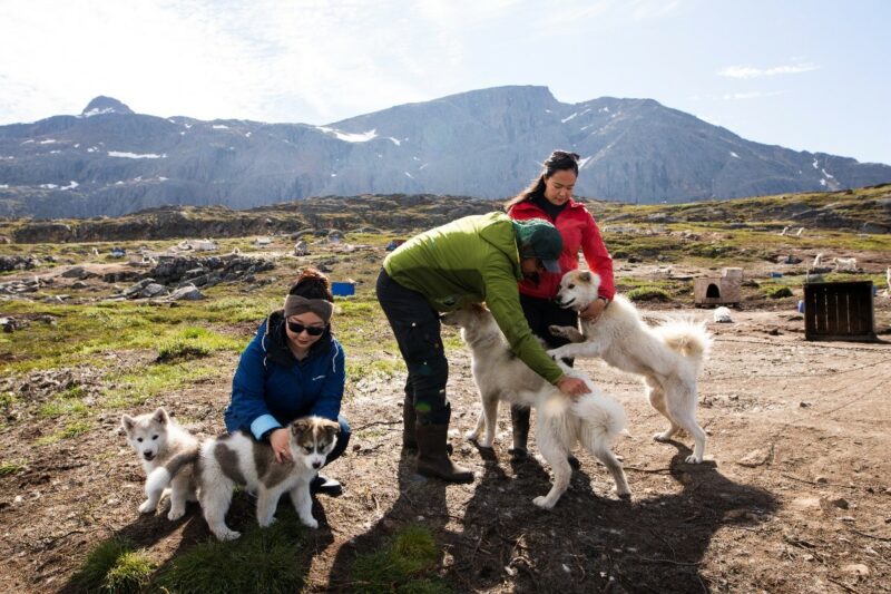 The Greenlandic dog sled culture must be preserved from extinction NATA